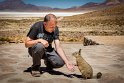 034 Salar de Surire, Viscacha